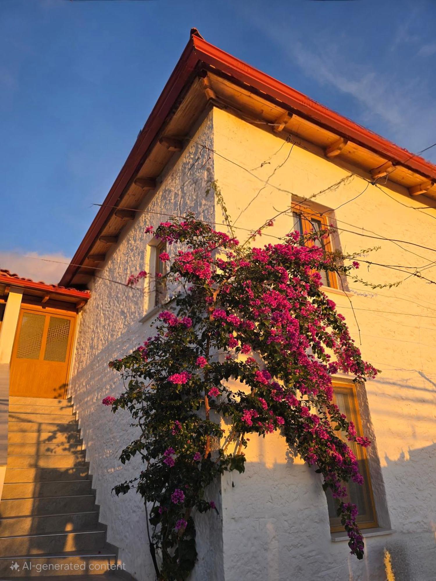 Guest House Luiza Borsh Εξωτερικό φωτογραφία