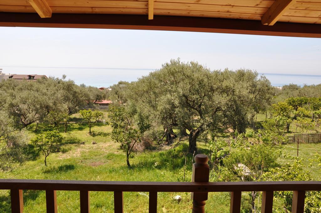 Guest House Luiza Borsh Δωμάτιο φωτογραφία