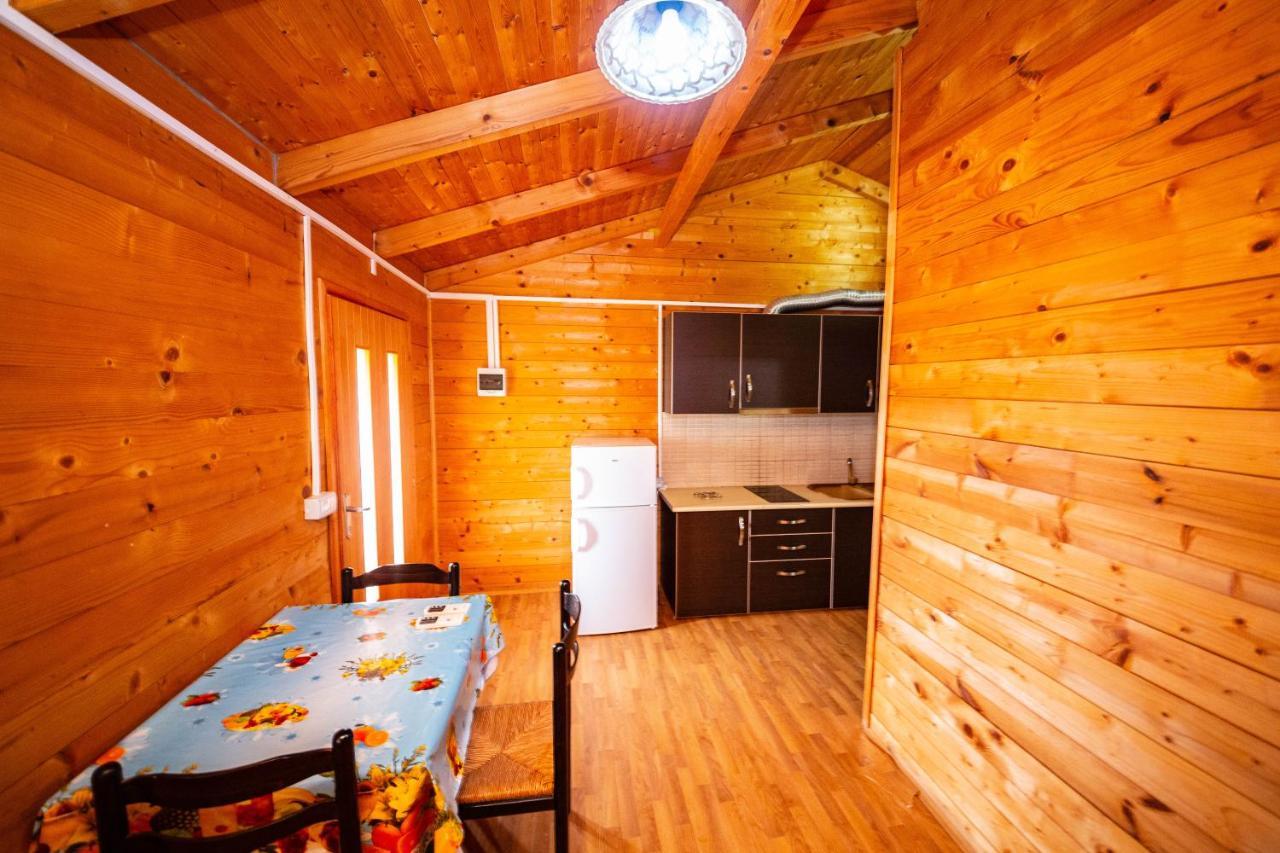Guest House Luiza Borsh Εξωτερικό φωτογραφία