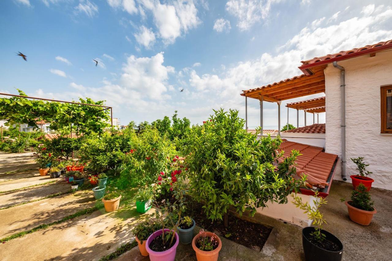 Guest House Luiza Borsh Εξωτερικό φωτογραφία
