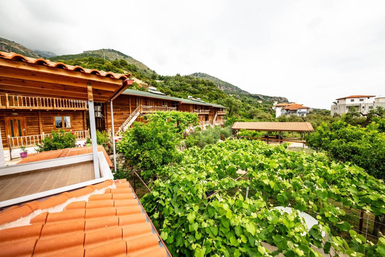 Guest House Luiza Borsh Εξωτερικό φωτογραφία