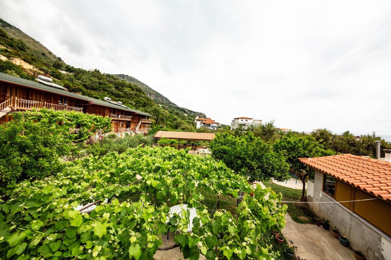Guest House Luiza Borsh Εξωτερικό φωτογραφία